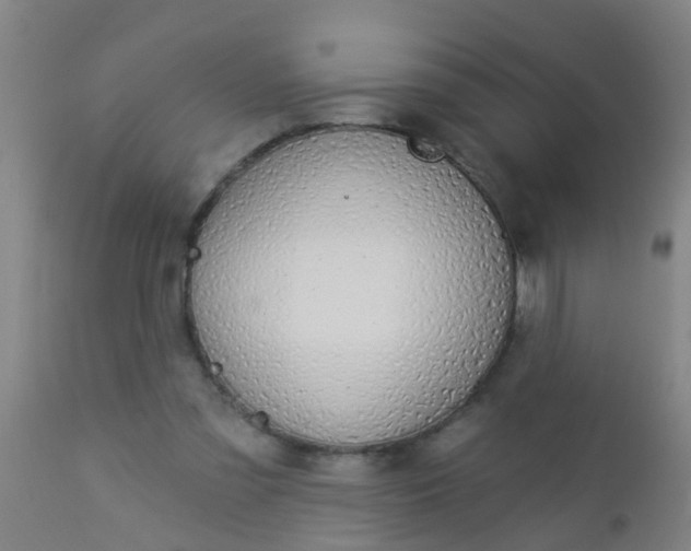 X0000112910301200909071541