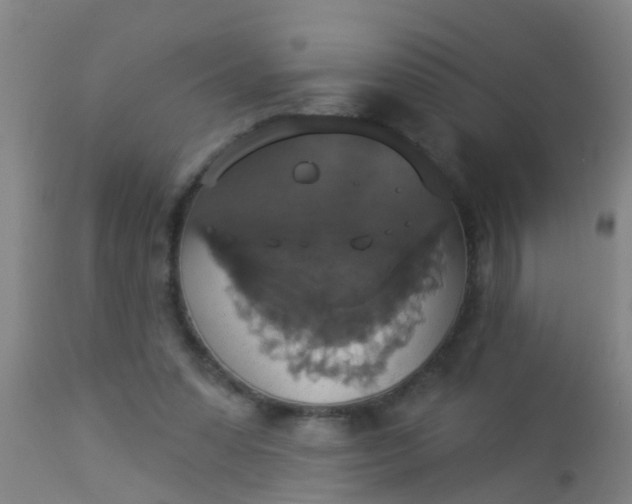 X0000112910303200909071541