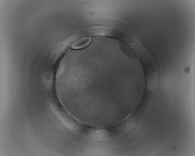 X0000112910304200909071541