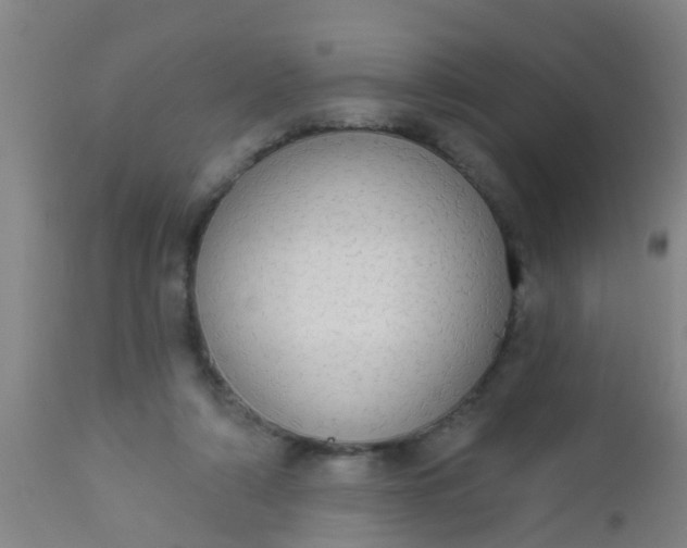 X0000112910306200909071541