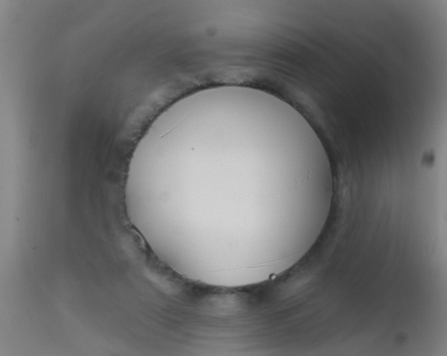 X0000112910307200909071541