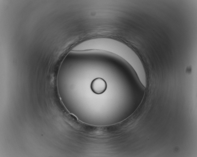 X0000112910308200909071541