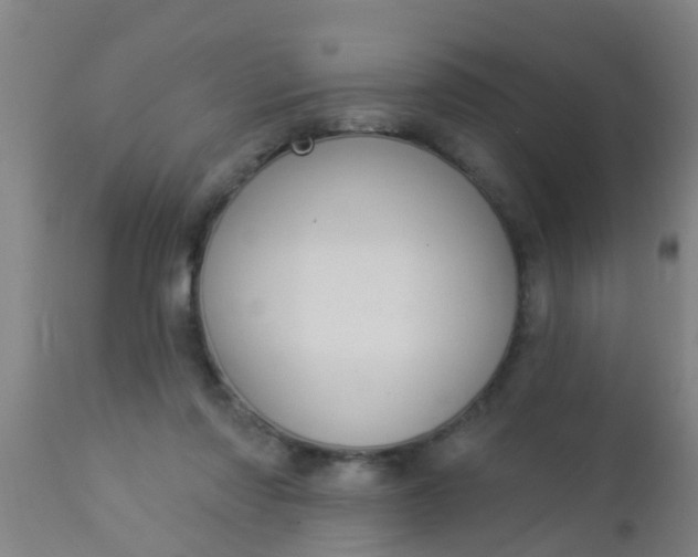 X0000112910310200909071541