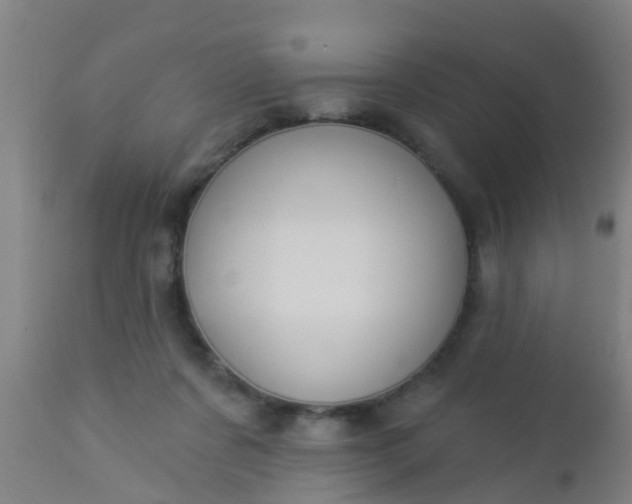 X0000112910311200909071541