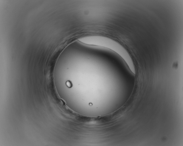 X0000112910312200909071541