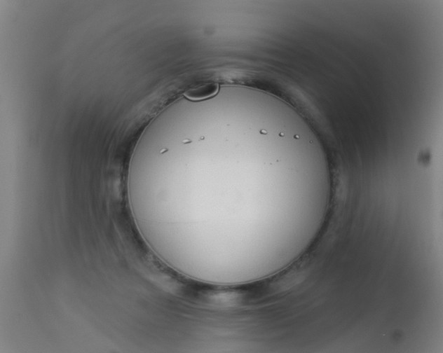 X0000112910313200909071541