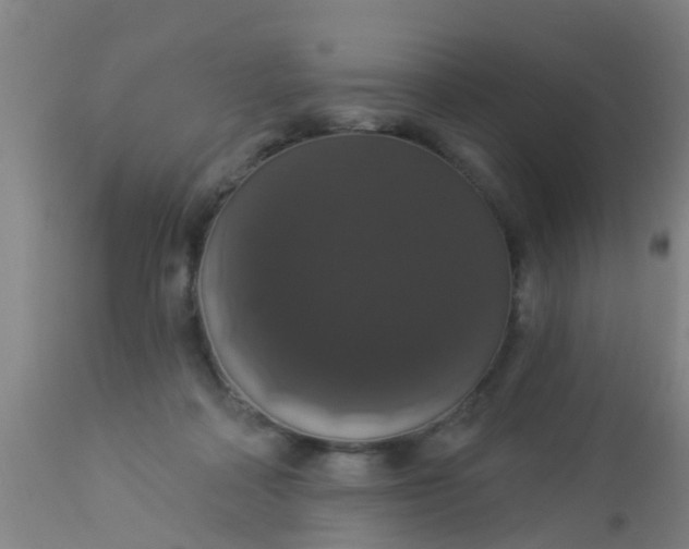 X0000112910314200909071541