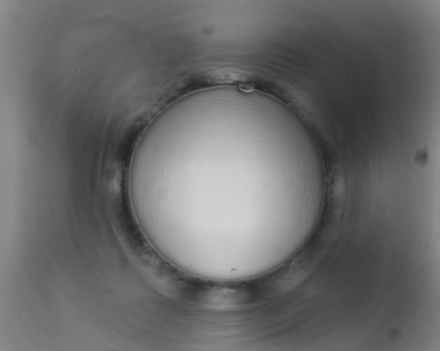 X0000112910315200909071541