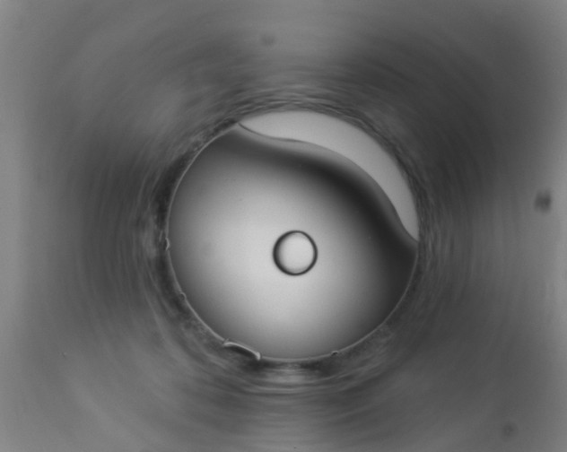 X0000112910316200909071541