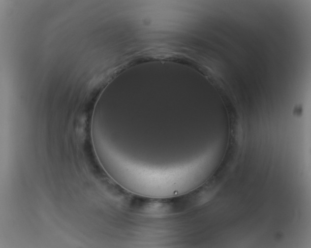 X0000112910319200909071541