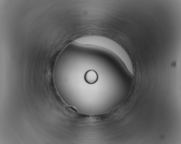 X0000112910320200909071541