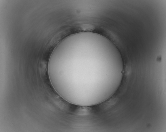 X0000112910321200909071541