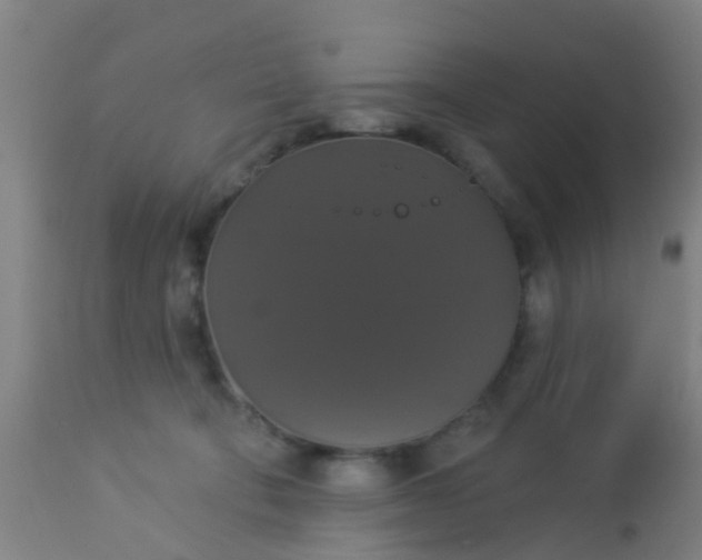 X0000112910322200909071541