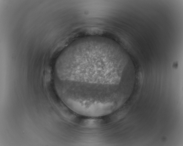 X0000112910323200909071541