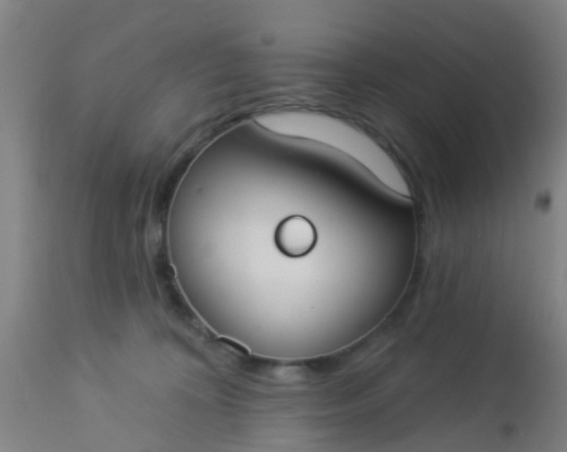 X0000112910324200909071541