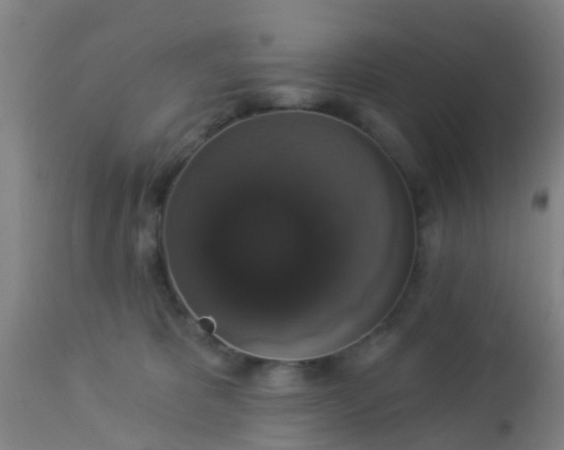 X0000112910325200909071541