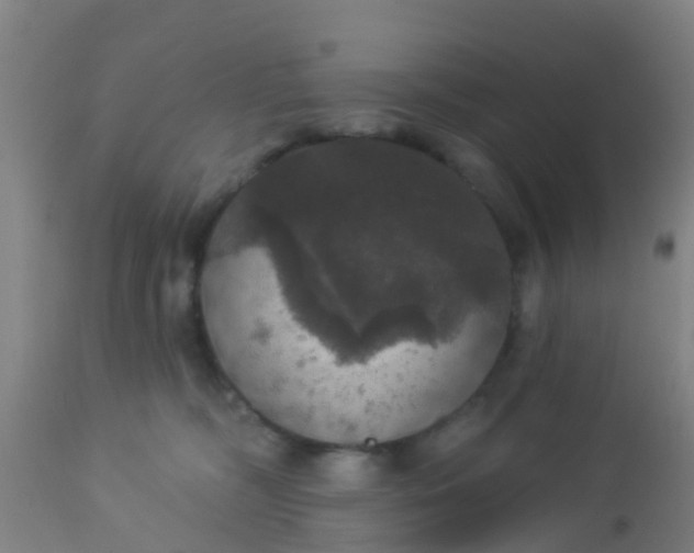 X0000112910326200909071541