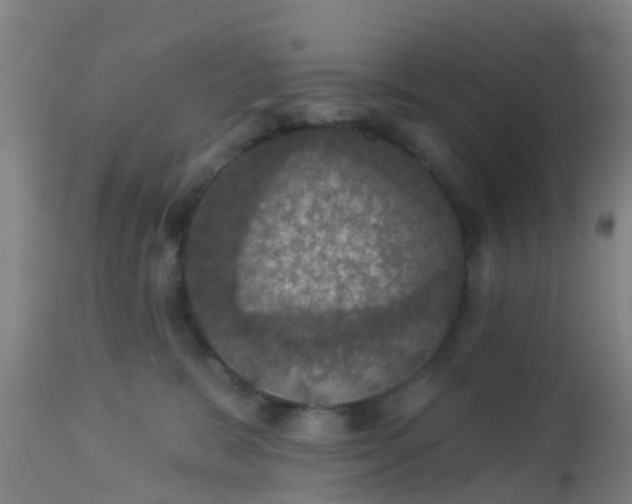 X0000112910327200909071541