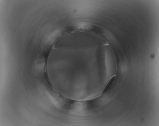 X0000112910328200909071541