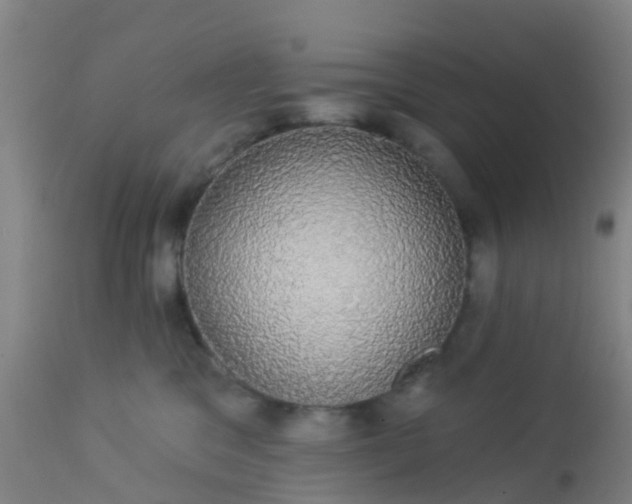 X0000112910329200909071541