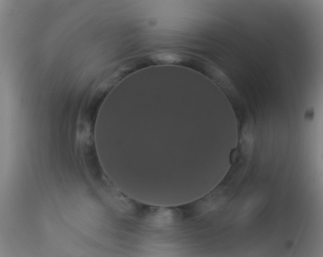 X0000112910330200909071541