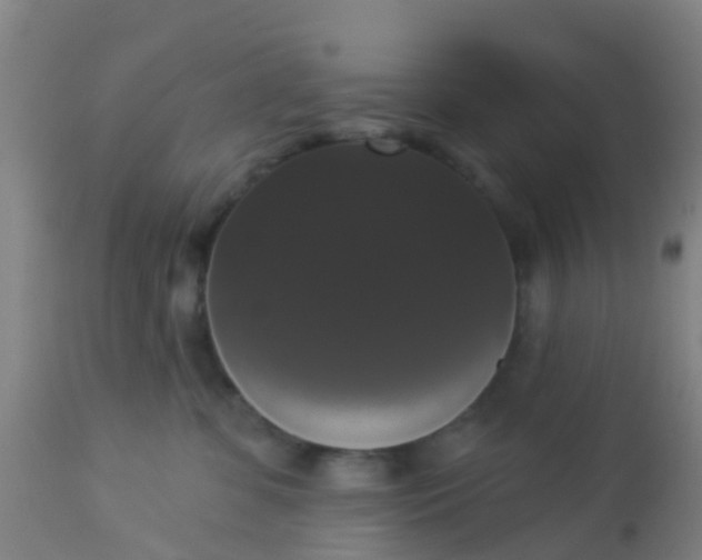 X0000112910331200909071541