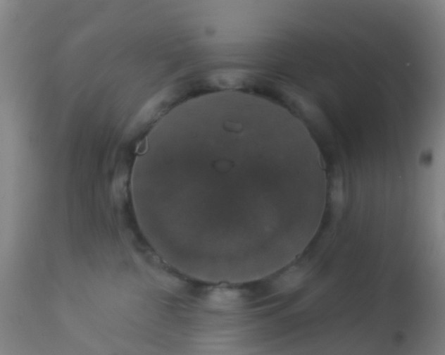 X0000112910332200909071541