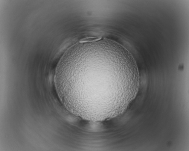 X0000112910333200909071541