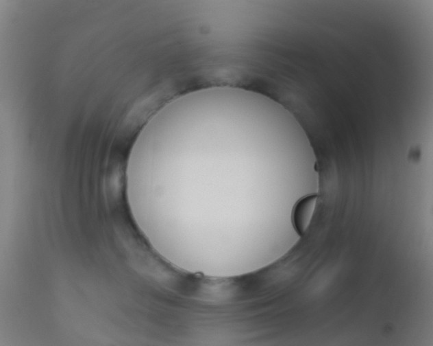 X0000112910334200909071541