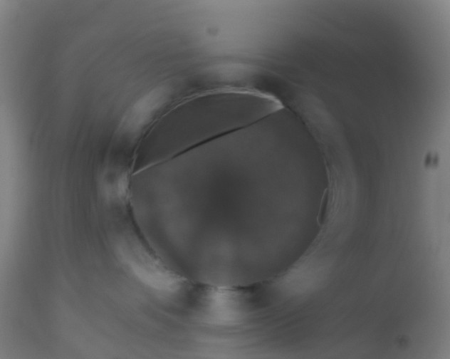 X0000112910336200909071541