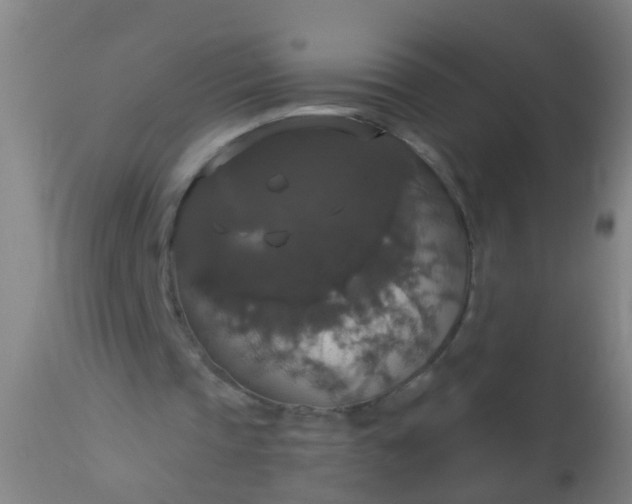 X0000112910337200909071540