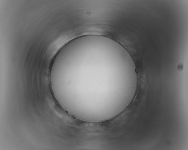 X0000112910338200909071540