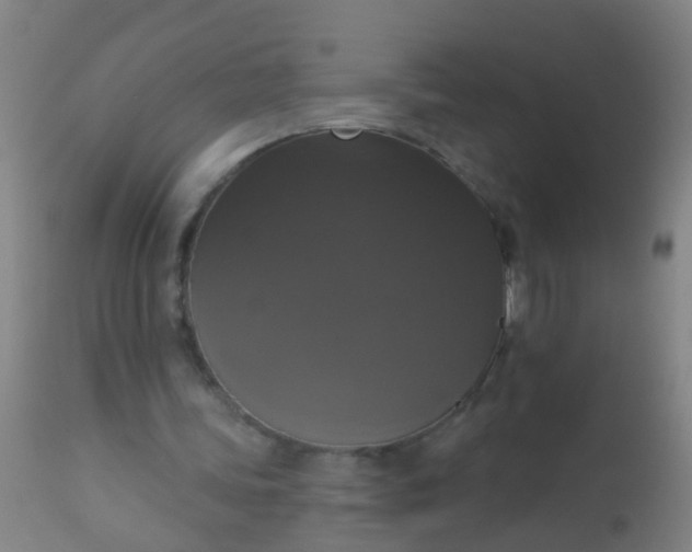 X0000112910339200909071540