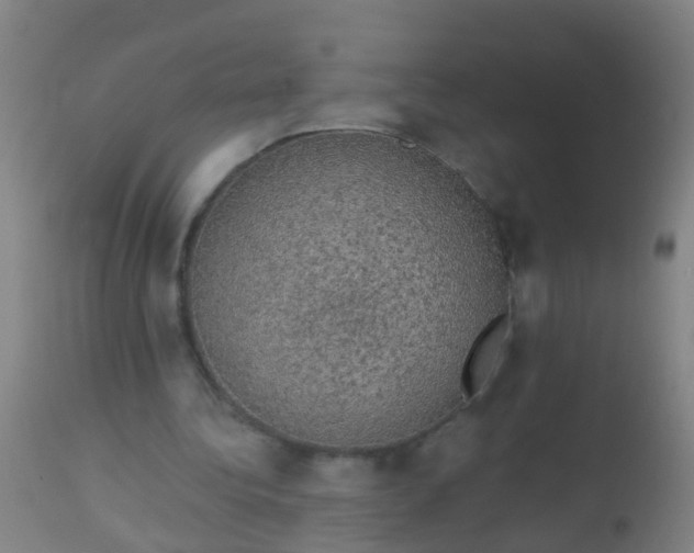 X0000112910340200909071540