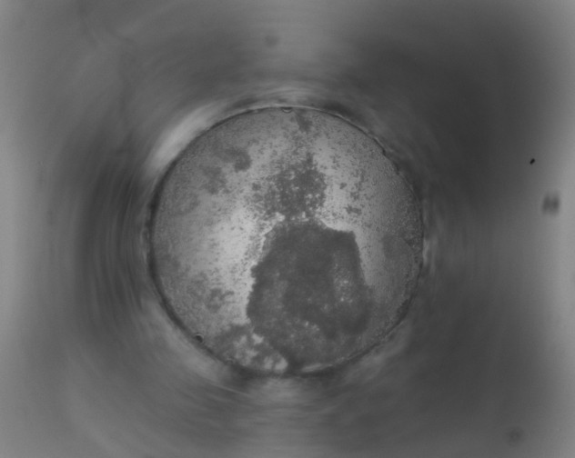 X0000112910341200909071540