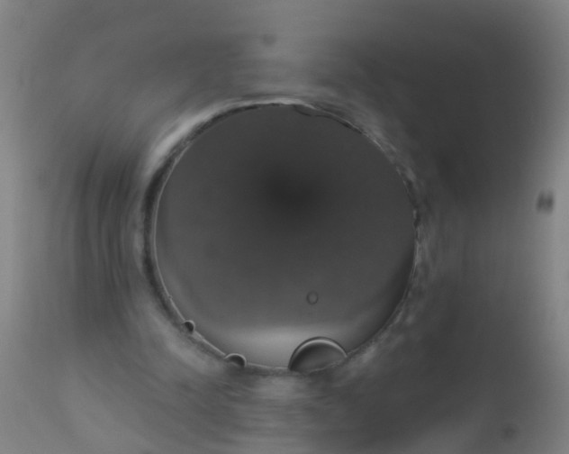 X0000112910342200909071540