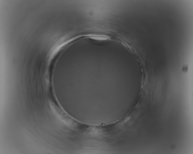 X0000112910343200909071540