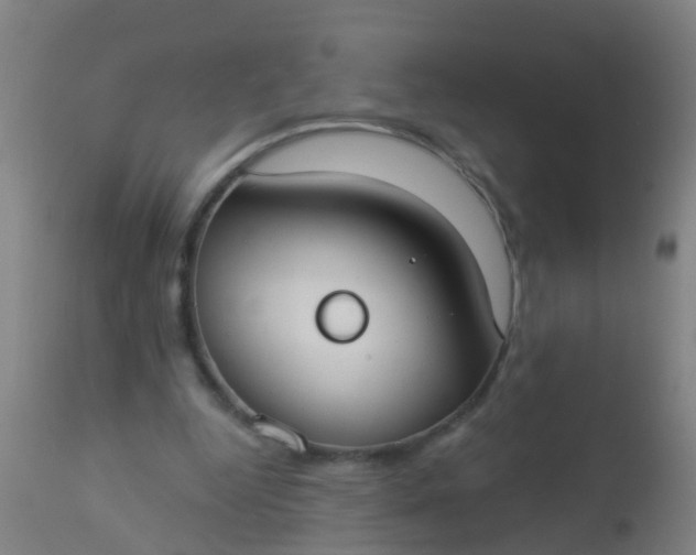 X0000112910344200909071540