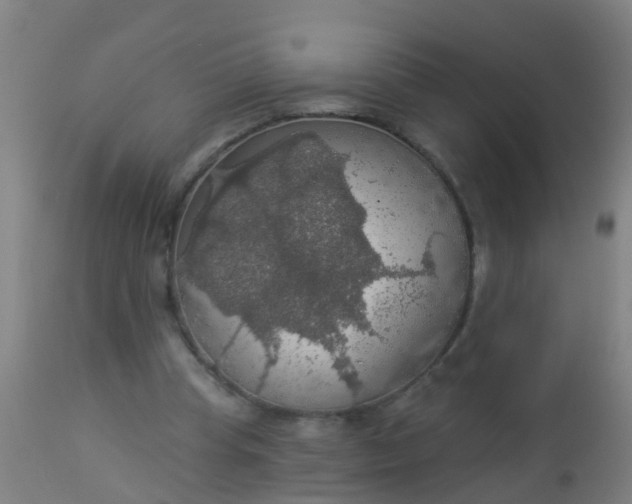 X0000112910345200909071540