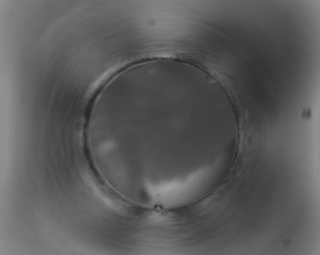 X0000112910346200909071540