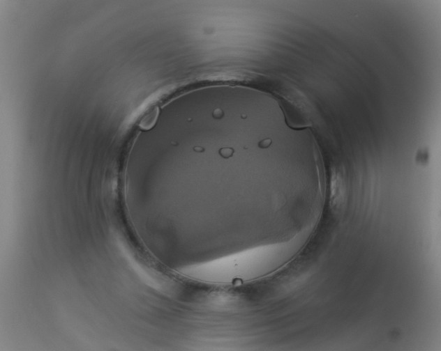 X0000112910348200909071540