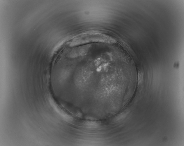 X0000112910349200909071540