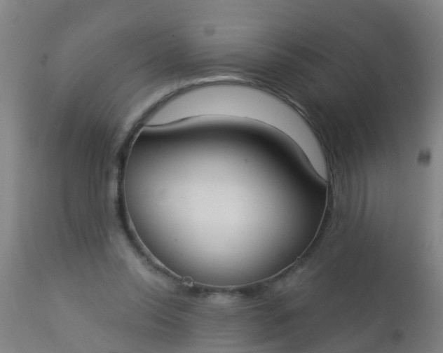 X0000112910350200909071540