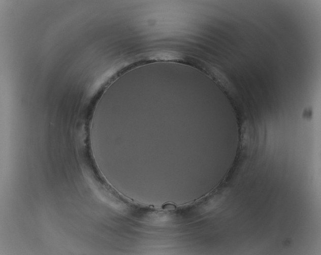 X0000112910351200909071540