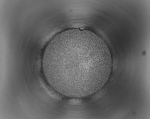 X0000112910354200909071540