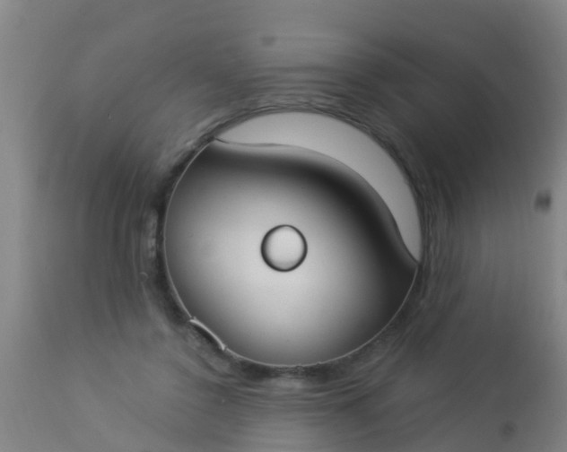 X0000112910356200909071540