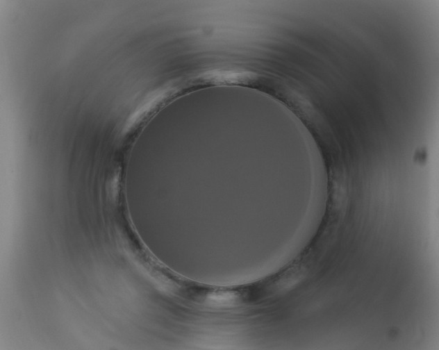 X0000112910357200909071540