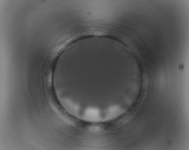 X0000112910358200909071540