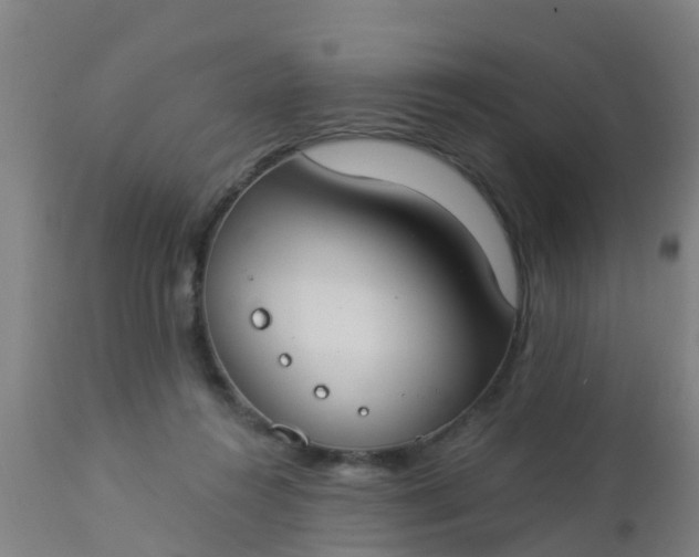 X0000112910360200909071540