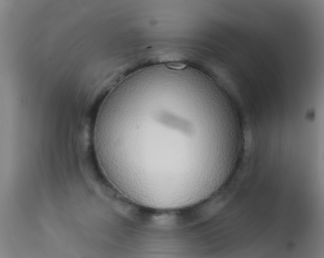 X0000112910362200909071540